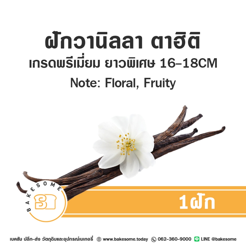 แซม วานิลลาแท้ ตาฮิติ วนิลา วนิลลา ฝักวานิลลา Sam's Vanilla Sam Vanilla (Tahiti Vanilla Bean ) 1 ฝัก Vanilla Pod