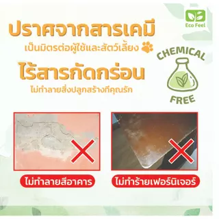 Eco Feel สเปรย์สมุนไพรไล่ยุง Organic100% 250ml ปลอดภัยต่อผู้ใช้สัตว์เลี้ยง Mosquito repellent