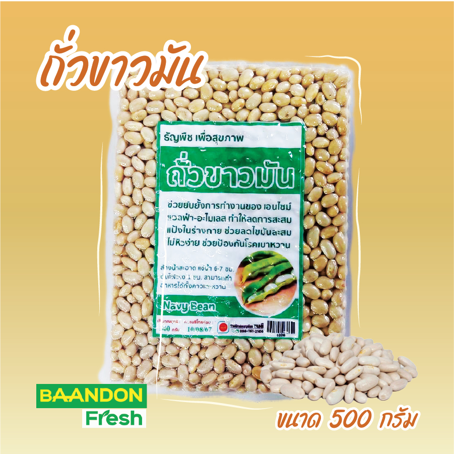 ถั่วขาวมัน ขนาด 500g ธัญพืชเพื่อสุขภาพ