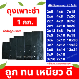 🔥ส่งไว ถุงเพาะชำ ถุงชำต้นไม้ เจาะรู หนา เหนียว คุ้มค่า (แพ็ค 1 กก.)
