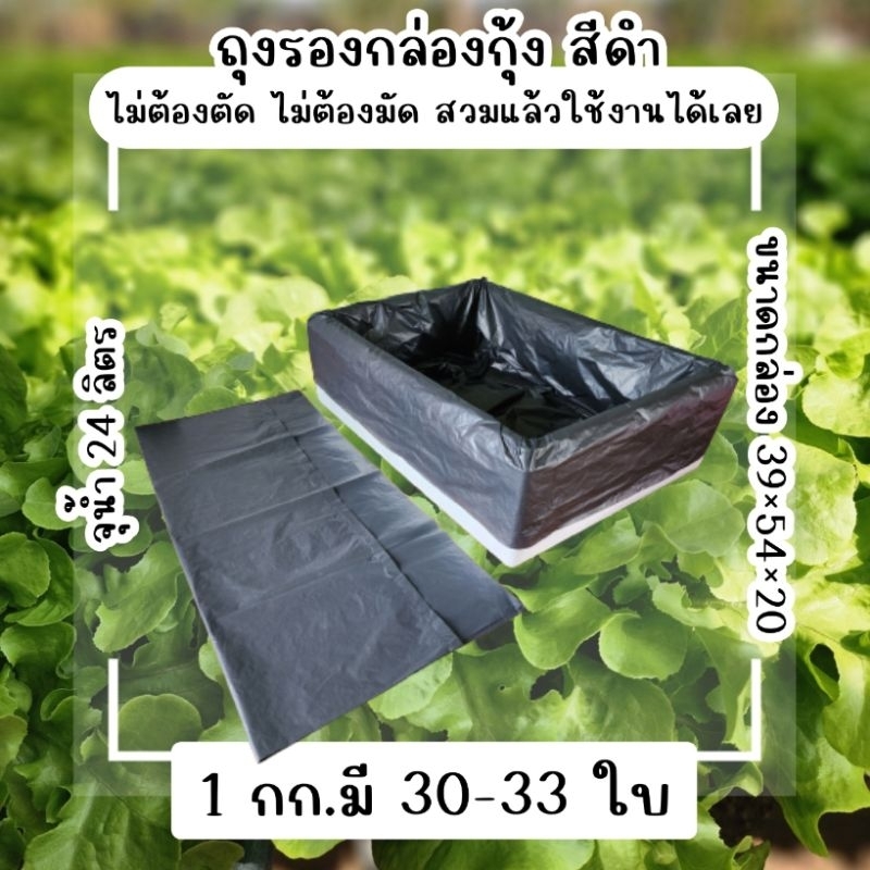 ถุงรองกล่องโฟม กล่องกุ้งสีดำ ปลูกผักไฮโดรโปนิกส์