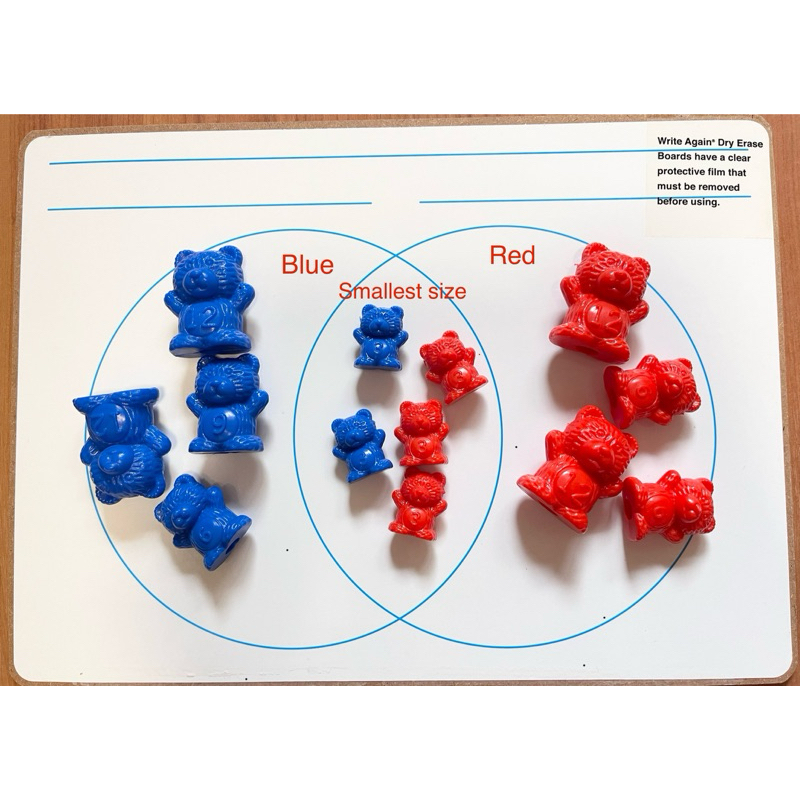 Venn diagram whiteboard เวนไดอะแกรม แบบเขียนลบได้