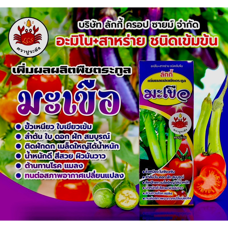 มะเขือ - ขนาด1ลิตร : อะมิโน+สาหร่ายทางใบ (ฮอร์โมนบำรุงพืช/เพิ่มผลผลิต/สำหรับมะเขือโดยเฉพาะ)