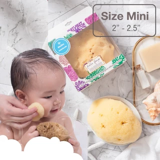 KALLA SPONGE ฟองน้ำธรรมชาติ ชนิด Fine Silk สีเหลือง ฟองน้ำ สำหรับล้างหน้าและอาบน้ำ เด็กและทารก