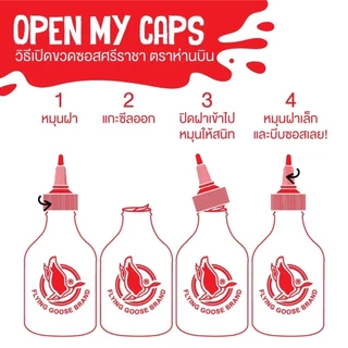 ซอสพริกไทยดำ ตราห่านบิน ขนาด 200 มล. Flying Goose Spicy Black Pepper 200ml.