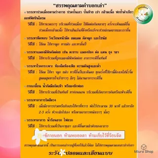 น้ำมันเขียวกรรณิกา น้ำมันเขียว แท้ มีอย. ขวดใหญ่ น้ำมันสีเขียวตราดอกกรรณิกา น้ำมันเหลือง