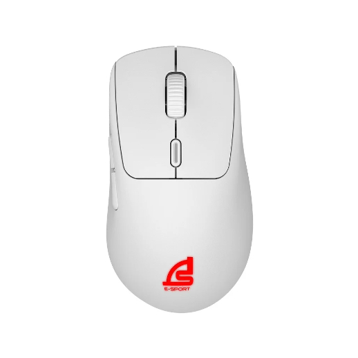 WIRELESS MOUSE (เม้าส์ไร้สาย) SIGNO WG-902W VEXXER