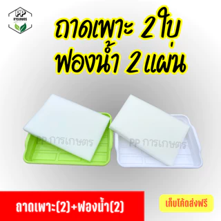 ถาดเพาะต้นกล้า ถาดเพาะผักไฮโดรโปนิกส์ ถาดเพาะเมล็ด ใส่ฟองน้ำได้พอดี (*คละสี*)