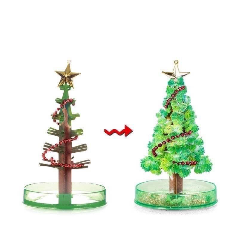 ส่งจากไทย Magic crystal snow trees ต้นไม้มหัศจรรย์ ต้นคริสต์มาส เจ้าหญิง โตได้ใน 24 ชั่วโมง ของเล่น STEM และฝึกการ