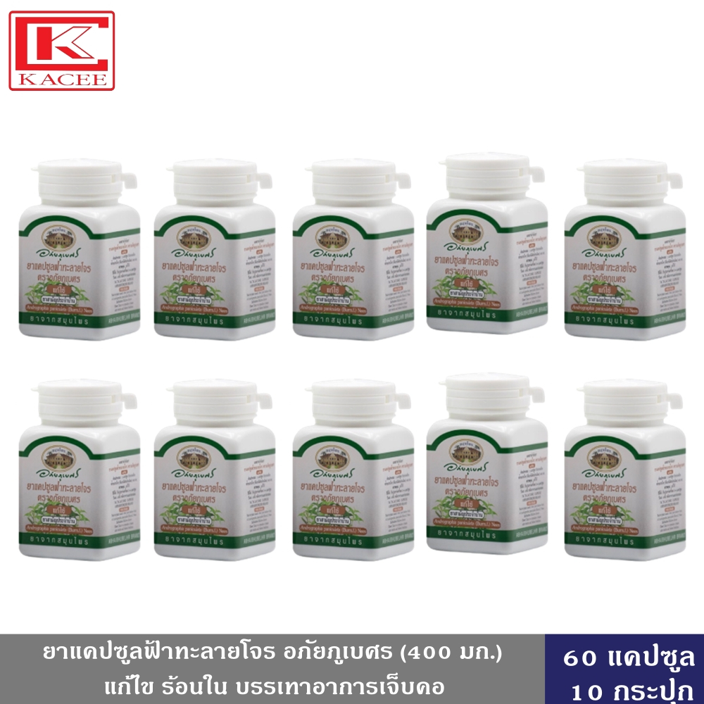 ฟ้าทะลายโจร อภัยภูเบศร 400 มก. 60 แคปซูล 1 กระปุก แคปซูลฟ้าทะลายโจร ตราอภัยภูเบศร แก้ไข้ แก้ไอ แก้เจ็บคอ - รูปที่ 6