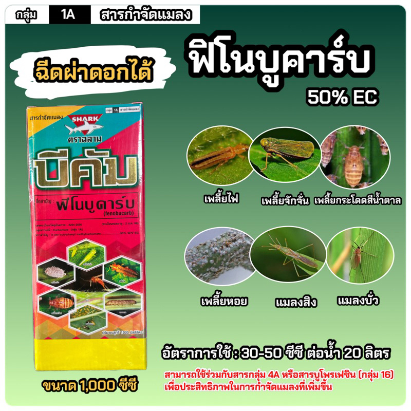 ขนาด 1L บีคัม (ฟิโนบูคาร์บ 50% EC) เพลี้ยอ่อน เพลี้ยไฟ เพลี้ยหอย เพลี้ยจักจั่น