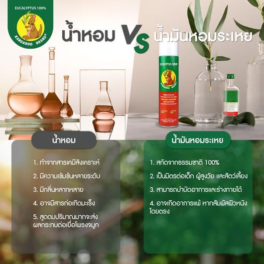 จิงโจ้ ยูคาลิปตัส สเปรย์ 300 ml Kangaroo Eucalyptus Spray