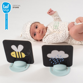 Taf Toys บัตรรูปภาพ My 1st Tummy-time Cards ของเล่นเสริมพัฒนาการ 0-3 ขวบ รูปที่ 3