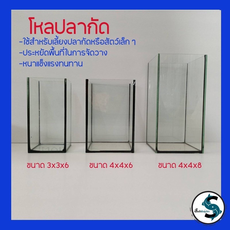 ✅โหลปลากัด เกรดA 🔥หนา3มิลมีขนาด 3x3x6นิ้ว/4x4x6นิ้ว/4x4x8นิ้ว ตู้ปลาขนาดเล็ก โหลใส่ปลากัด