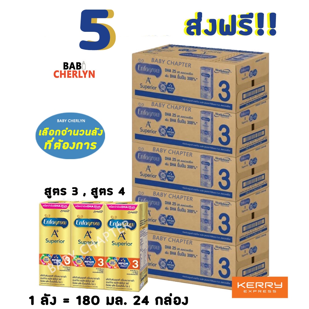 5 ส่งฟรี! Enfagrow A+ Superior สูตร 3 เอนฟาโกร เอพลัส ซุพีเรียร์ 360 กล่องสีทอง 180 มล 24 กล่อง นม น