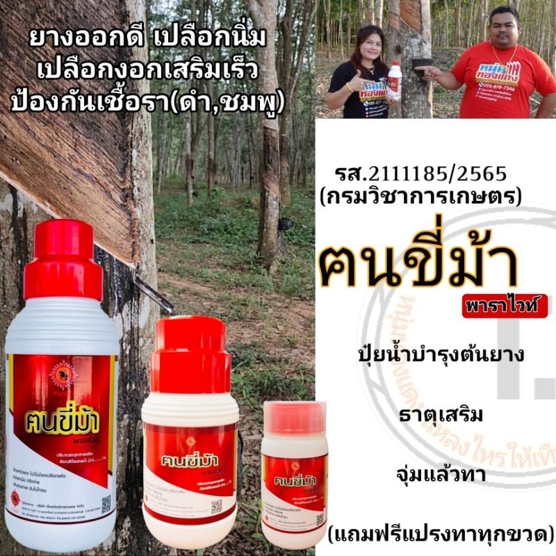 ฅนขี่ม้าพาราไวท์ปุ๋ยน้ำบำรุงต้นยางเปลือกนิ่มกรีดง่ายยางออกดีต้นยางสมบูรณ์