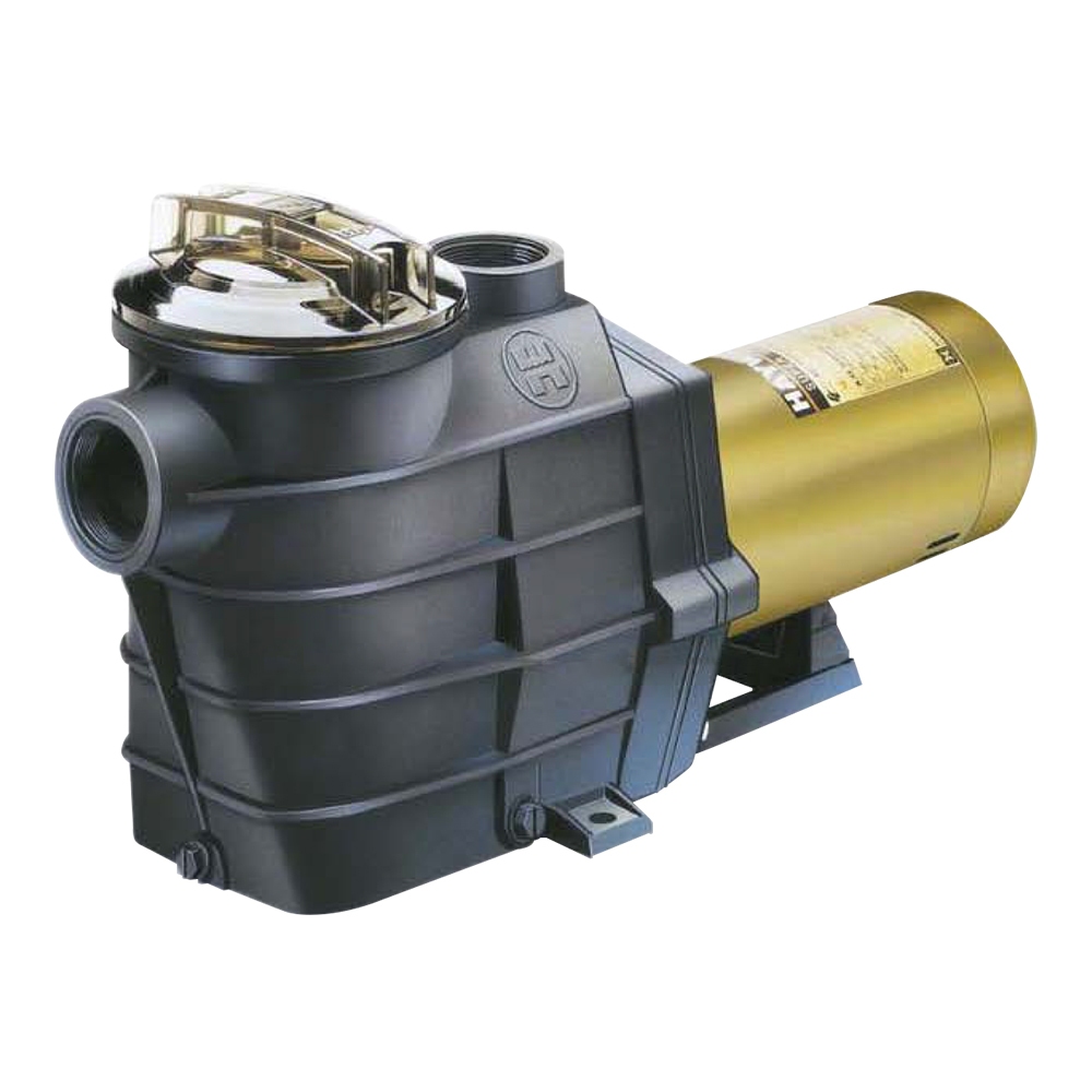 ปั๊มสระว่ายน้ำ HAYWARD Super II Pump ชุดสมบูรณ์พร้อมสหภาพแรงงาน
