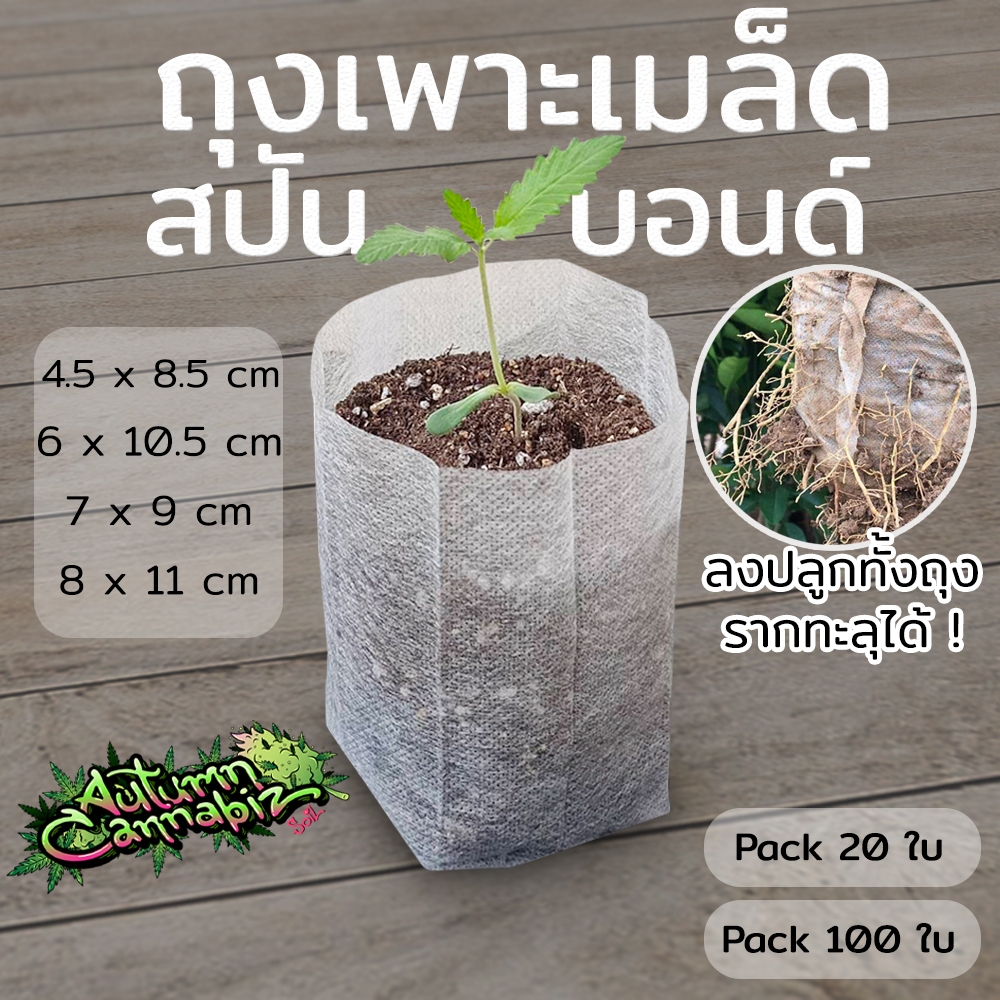 ถุงเพาะเมล็ดสปันบอนด์ กระถางผ้า สำหรับเพาะชำ แบบบางรากทะลุ ย้ายทั้งถุงไม่ต้องถอดดิน