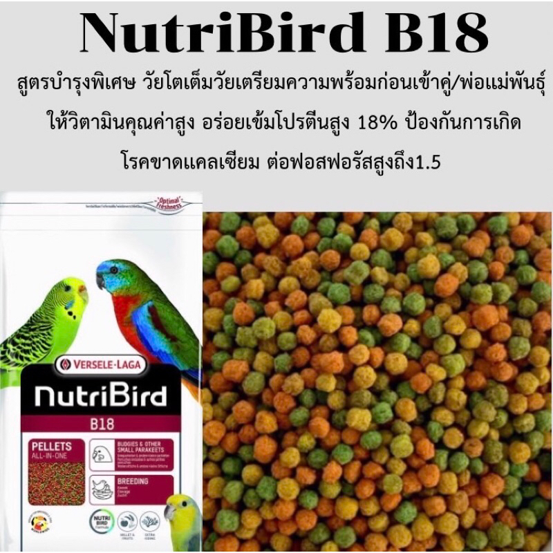 NutriBird B18 อาหารสำเร็จรูปสำหรับนกแก้วขนาดเล็ก แบ่ง250gและ500g