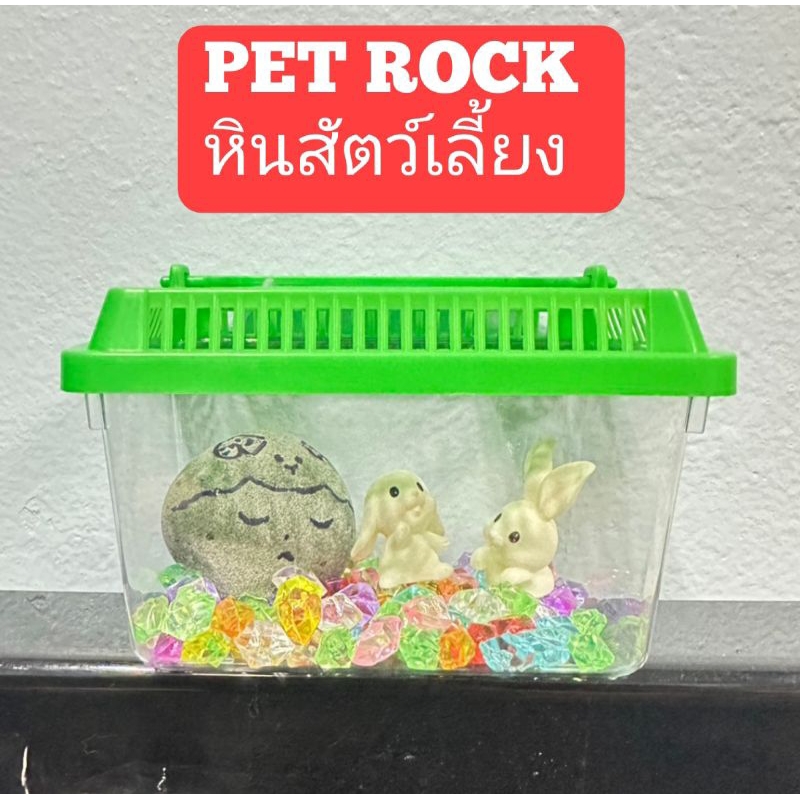 PET ROCK หินสัตว์เลี้ยง พร้อมส่ง