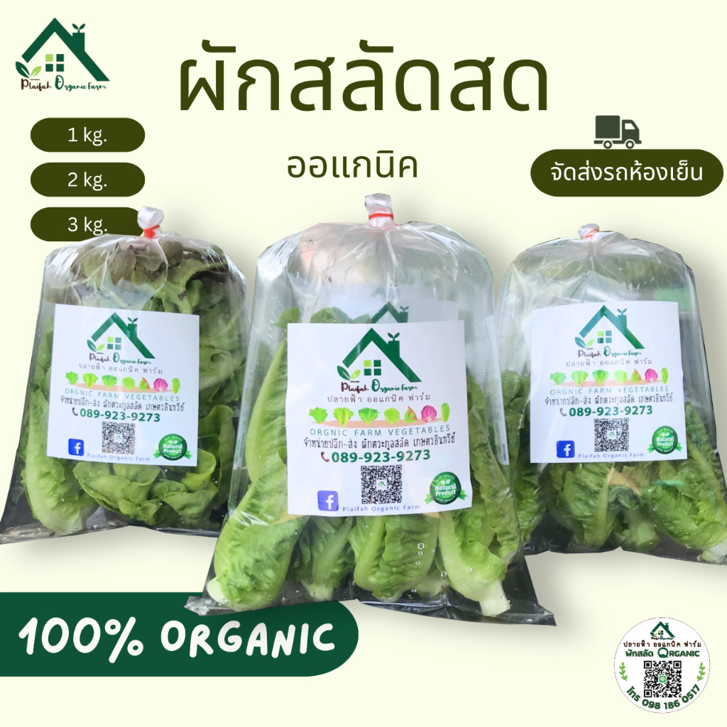 ผักสลัดออแกนิค ผัดสดกรอบอร่อย ปลอดสารพิษสารเคมี100% จากปลายฟ้าออแกนิคฟาร์ม ราชบุรี