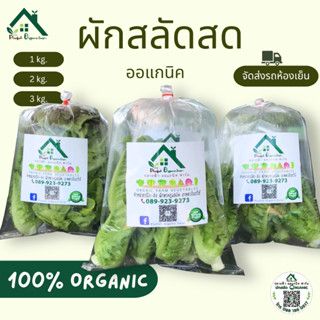 ผักสลัดออแกนิค ผัดสดกรอบอร่อย ปลอดสารพิษสารเคมี100% จากปลายฟ…