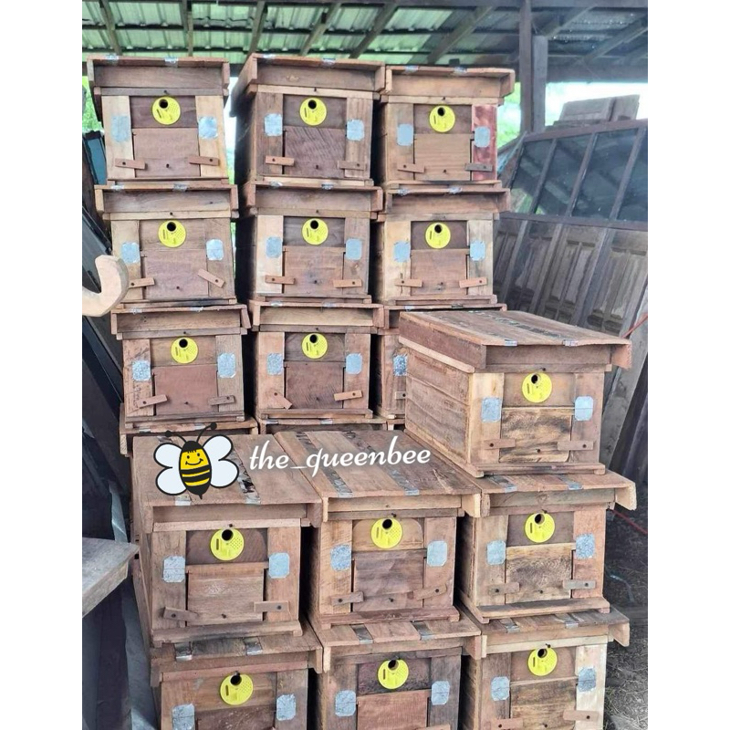 📌ลังล่อผึ้งโพรง กล่องเลี้ยงผึ้งโพรง #แถมม ฟีโรโมน+ไขผึ้ง 🐝 ราคาถูก 🐝