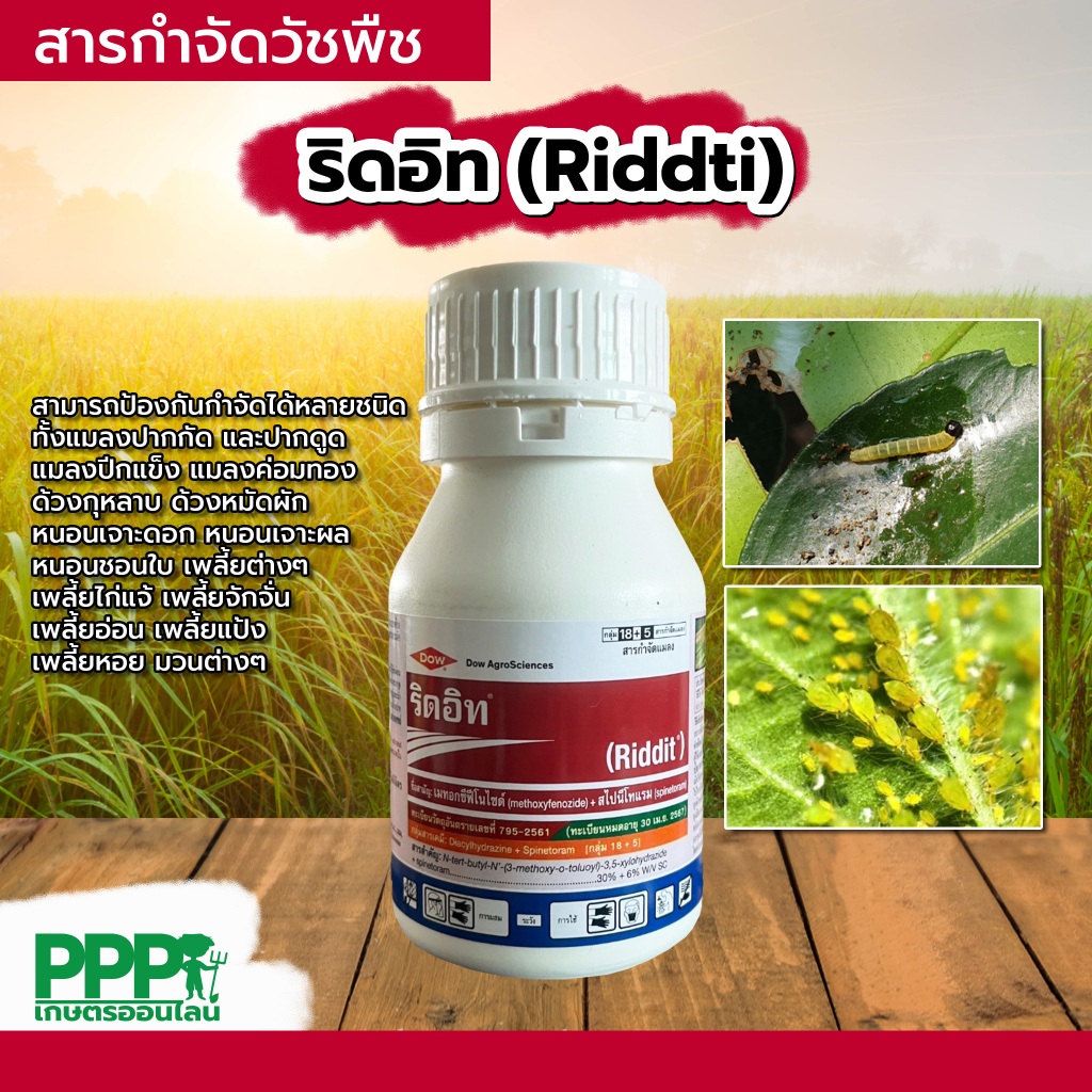 ริดอิท 250 ซีซี เมทอกซีฟีโนไซด์+ สไปนีโทแรม ยาป้องกันกำจัด หนอนดื้อยา หนอนข้าวโพด หนอนห่อใบข้าว เพลี้ยไฟ