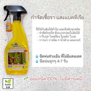 สเปรย์ช่องาม ปุ๋ยฉีดพ่นทางใบ 500 ml. ปุ๋ยฮอร์โมนพืชพร้อมใช้ ผลิตใหม่
