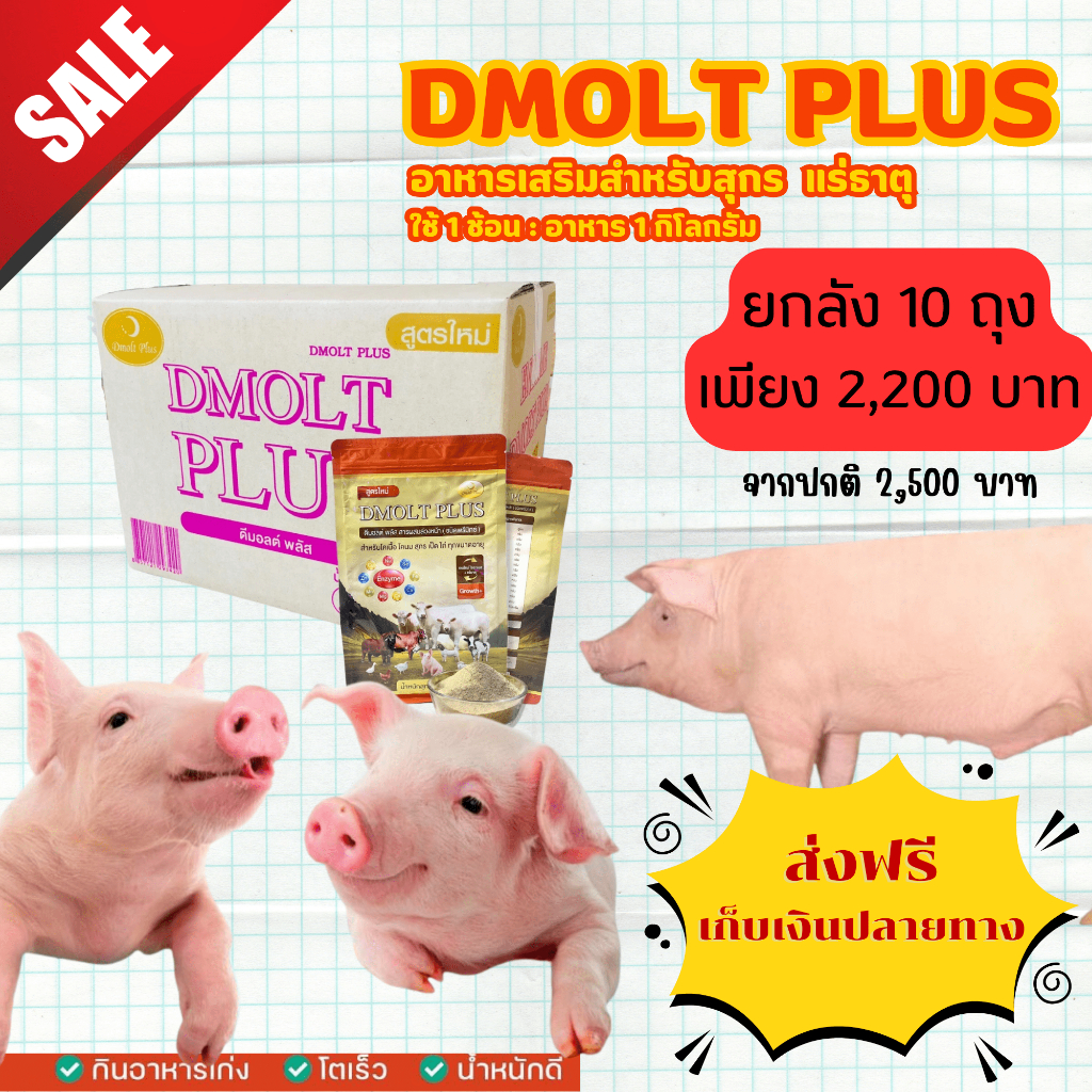 อาหารหมู DMOLT PLUS ดีมอลต์ พลัส เอนไซม์และแร่ธาตุเพื่อการเจริญเติบโต อาหารเสริม ขุนหมู