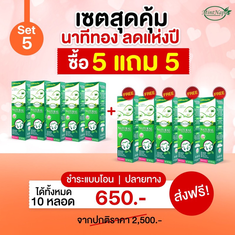 เซตสุดคุ้ม ยาสีฟันมิ้นท์นภา 5 แถม 5 หลอด