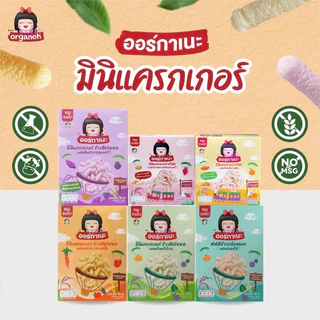 Organeh ออร์กาเนะ มินิแครกเกอร์ พัฟข้าวกล้องงอก จากข้าวสังข์หยดออร์แกนิค ข้าวอบ พัฟ 6M+ มีฮาลาล ขนมเด็ก อาหารเด็ก