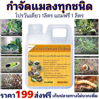 บิวเวอร์เรีย+เมธาไรเซียม 2 IN 1🪴