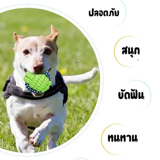 ของเล่นสุนัข เชือกกัดสุนัข เชือกกัดสำหรับหมา เชือกกัดสำหรับหมา แบบเซตสีเขียว