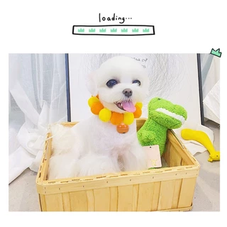 Petcho ปลอกคอแมว ปลอกคอแมว ปลอกคอหมา ปลอกคอน่ารัก ปอมปอมดอกไม้