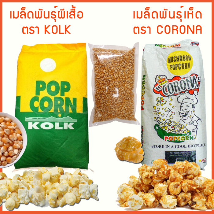 เมล็ดป๊อปคอร์น มี 2 พันธุ์ (ผีเสื้อ/เห็ด) 22.7กก./กระสอบ (Popcorn,เมล็ดข้าวโพด,เมล็ดทำข้าวโพดคั่วเกรด A)
