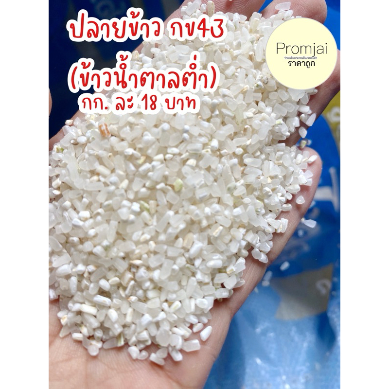 ปลายข้าวขาว กข.43 ล้วน 1 กก.