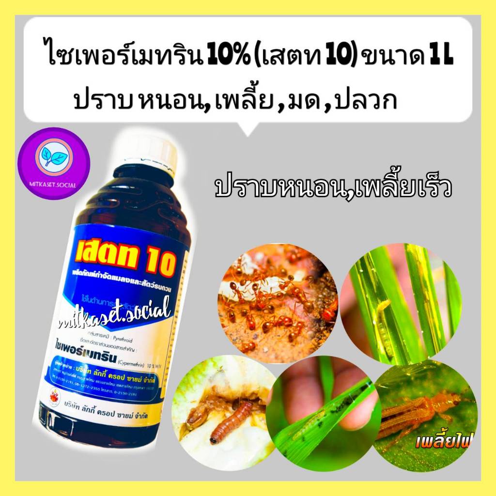 ไซเพอร์เมทริน10% ยาฆ่าแมลง  ยาฆ่าหนอน ยาฆ่าเพลี้ย ยากำจัดหนอน ยากำจัดเพลี้ย 1 ลิตร  กำจัด  มด  ปลวก แมลงวัน  ยุง เห็บ