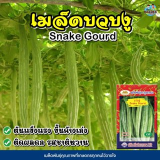 เมล็ดบวบงู Snake Gourd ตราภูเขาทอง เมล็ดพันธุ์บวบงู เมล็ดพัน…