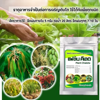 แฟล้น คีเลต ธาตุอาหารรอง-เสริมEDTA ธาตุอาหารรวมคีเลต (Plant Chelate)