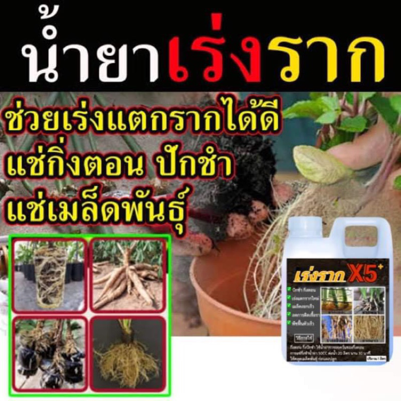 น้ำยาเร่งราก X5 บำรุงต้นไม้ใบเขียว เร่งแตกรากใหม่ ขนาด 1 ลิตร - รูปที่ 2