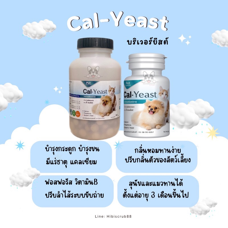 บริเวอร์ยีสต์ Cal Yeast