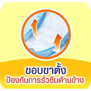 🔥พร้อมส่ง🔥 Lifree ไลฟ์รี่ แผ่นเสริมซึมซับแบบกลางวันมาตรฐาน (28 ชิ้น/ 54ชิ้น)