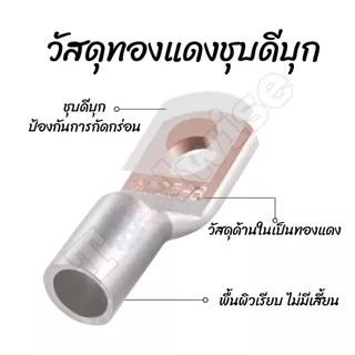หางปลาทองแดง ทรงยุโรป ทองแดงชุบดีบุก มีหลายขนาด