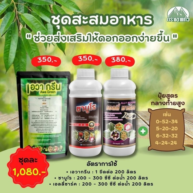 ชุดสะสมอาหาร เอวากรีน(500g)+ชาบูโร(1L)+เอลลี่ชาร์ค(1L)