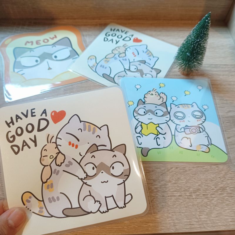 สติ๊กเกอร์สูญญากาศ ติดพรบ. รถยนต์ / สติ๊กเกอร์ pvc แบบมีกาว ลาย แมว