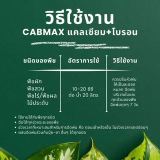 แคลเซียมโบรอน CABMAX ธาตุอาหารพืช สูตรเข้มข้น ผลดกเซลล์พืชแข็งแรง (โปรสุดคุ้ม 2 ลิตร) C2