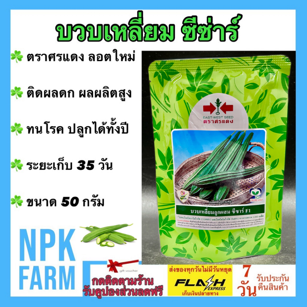 บวบเหลี่ยม ซีซาร์ F1 หมดอายุ02/10/25 ศรแดง ขนาด 50 กรัม ต้นแข็งแรง แตกแขนงดี ทนทานโรค ติดผลดก ผลยาว