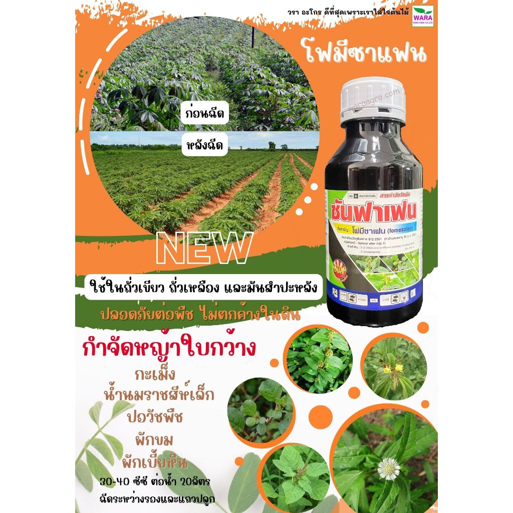 โฟมีซาเฟน หญ้าใบกว้าง ใช้ในเผือก ถั่วเหลือง ถั่วเขียว ถั่วดิน มันสำปะหลัง กำจัดหญ้ายาง ผักโขม  ปอวัชพืช ซันฟาเฟน