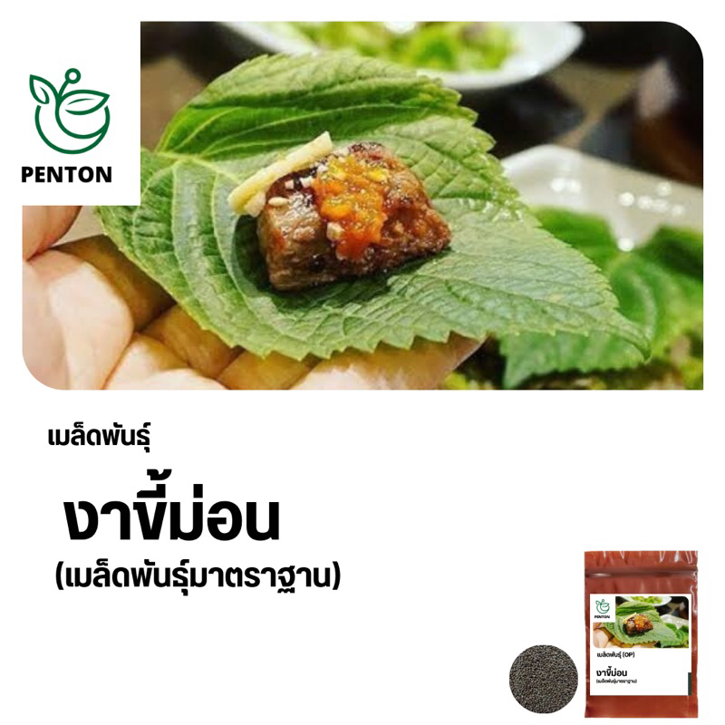 เมล็ดพันธุ์ใบงานขี้ม่อน 1,200 เมล็ด📌เมล็ดพันธุ์ใหม่ มาตราฐาน